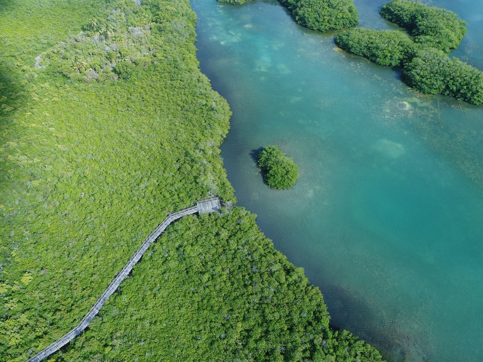 CORALINA: image 3