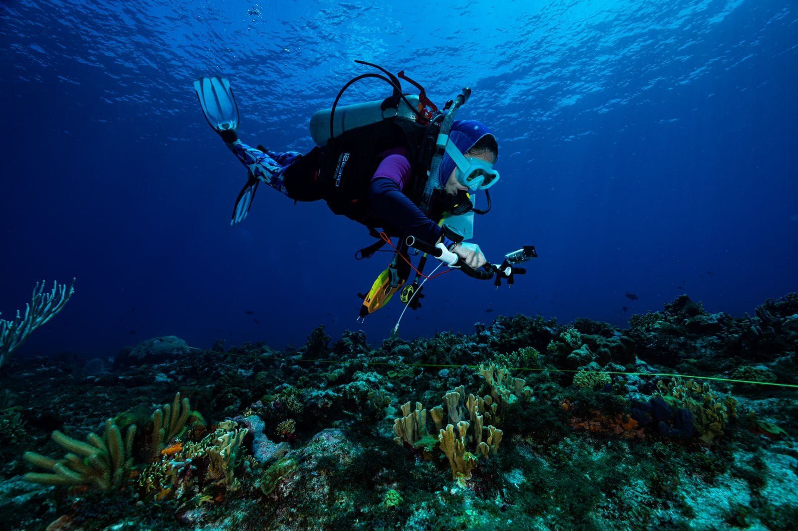 Center of Excellence in Marine Sciences Corporation - CEMarin4: image 1