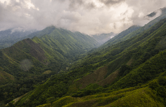 Conservation International Colombia: image 2