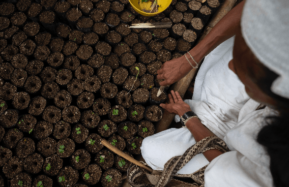 Conservation International Colombia: gallery photo 2