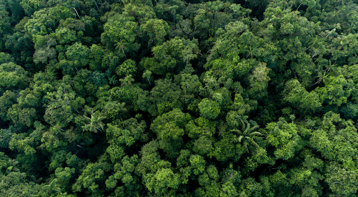 Conservation International Colombia: gallery photo 3
