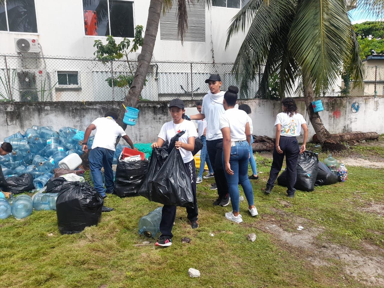 ECOISLAS SAI SAS BIC: gallery photo 3