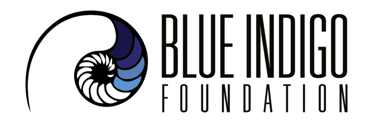 Logo de BLUE INDIGO FOUNDATION