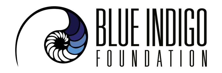 BLUE INDIGO FOUNDATION logo